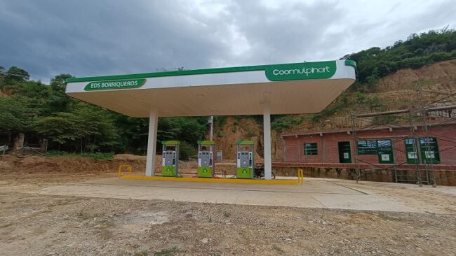 despues_borriqueros